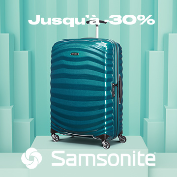 maroquinerie valise